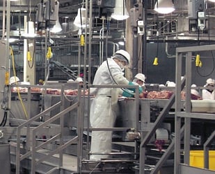 Food Processing 3.jpg