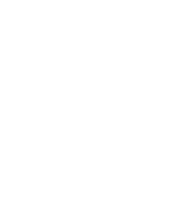 Ericson-Logo-White